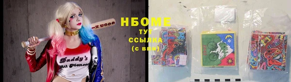 индика Алзамай