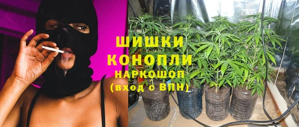 сатива Алексеевка