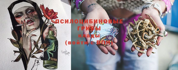 сатива Алексеевка