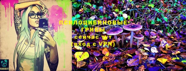 прущие крисы Алексин