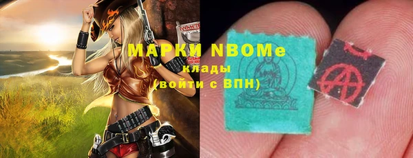 индика Алзамай